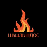 Шашлындос-настоящий шашлык icon