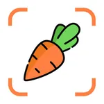 Nutrix AI - AI Meal Tracker icon