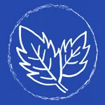 MINTS! icon