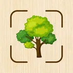 Tree Identifier: Wood & Plant icon