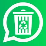 Remes: Deleted Messages icon