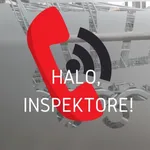 Halo, inspektore icon