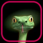 Snake Puzzle Game - Snakle icon
