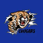 Dirigo Athletics & Activities icon