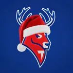 ХК Торпедо icon