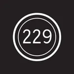 229Project icon
