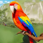 Parrot Bird Haven icon