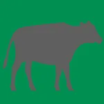 Cattle Weight Estimator icon