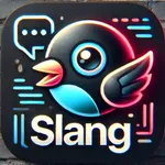 Learn Slang Language Lessons icon