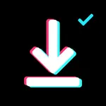 SnapTlK - Save Videos icon