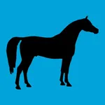 Araber Horse DB icon