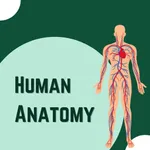 Human Anatomy And Body Parts icon