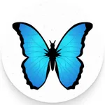 The Wife Expert icon