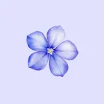 Periwinkle: AI for Menopause icon