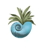 Seabrook Island Club icon