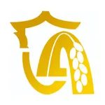 新隆安 icon