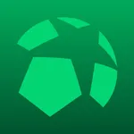 Ball in Goal: Soccer Training icon