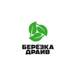 BerezkaDrive icon