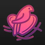 Flock Social Media icon
