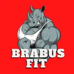 Brabus Fit icon
