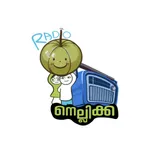 Radio Nellikka icon