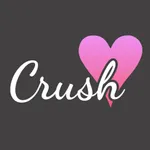 Crush Test icon