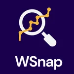 WSnap - Chat Analysis icon