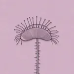 Toxic Affirmations icon