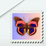 Dear: Letters to Future Me icon