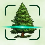 Tree Identifier Forest AI Sova icon
