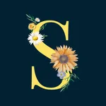 Carousel & Story Maker - Reels icon