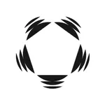 Puls App icon