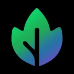 Maple - Private AI Chat & Sync icon