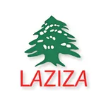 Laziza To Go icon