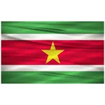 VFS Suriname eVisa icon