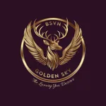 Golden Sky Travels icon