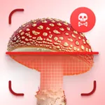 Mushroom Identifier: FungiEcho icon
