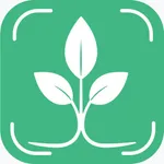 Tree Identifier And Diagnosis icon