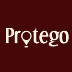 Family GPS Tracker - Protego icon
