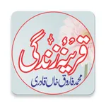 Qareena-e-Zindagi icon