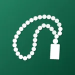 Smart Tasbih Pro icon