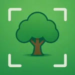 Tree Identifier゜ icon