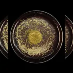 Global Gathering icon