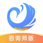 心雀咨询师版 icon