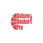 Galsen Basket Pro icon
