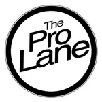 Pro Lane Basketball icon