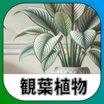 カードで観葉植物｜アシストシステム icon