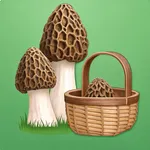Mushroom Finder:Mushroom Spots icon