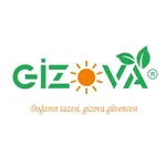 Gizova icon