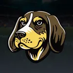 Stadium Rover icon